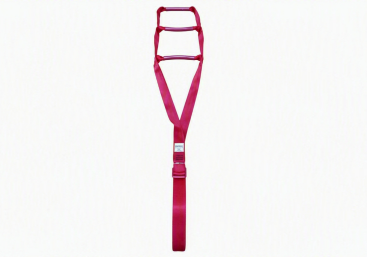 Bed Ladder
