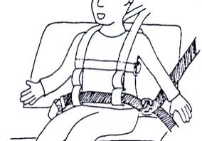 Special Needs Harness 5151050