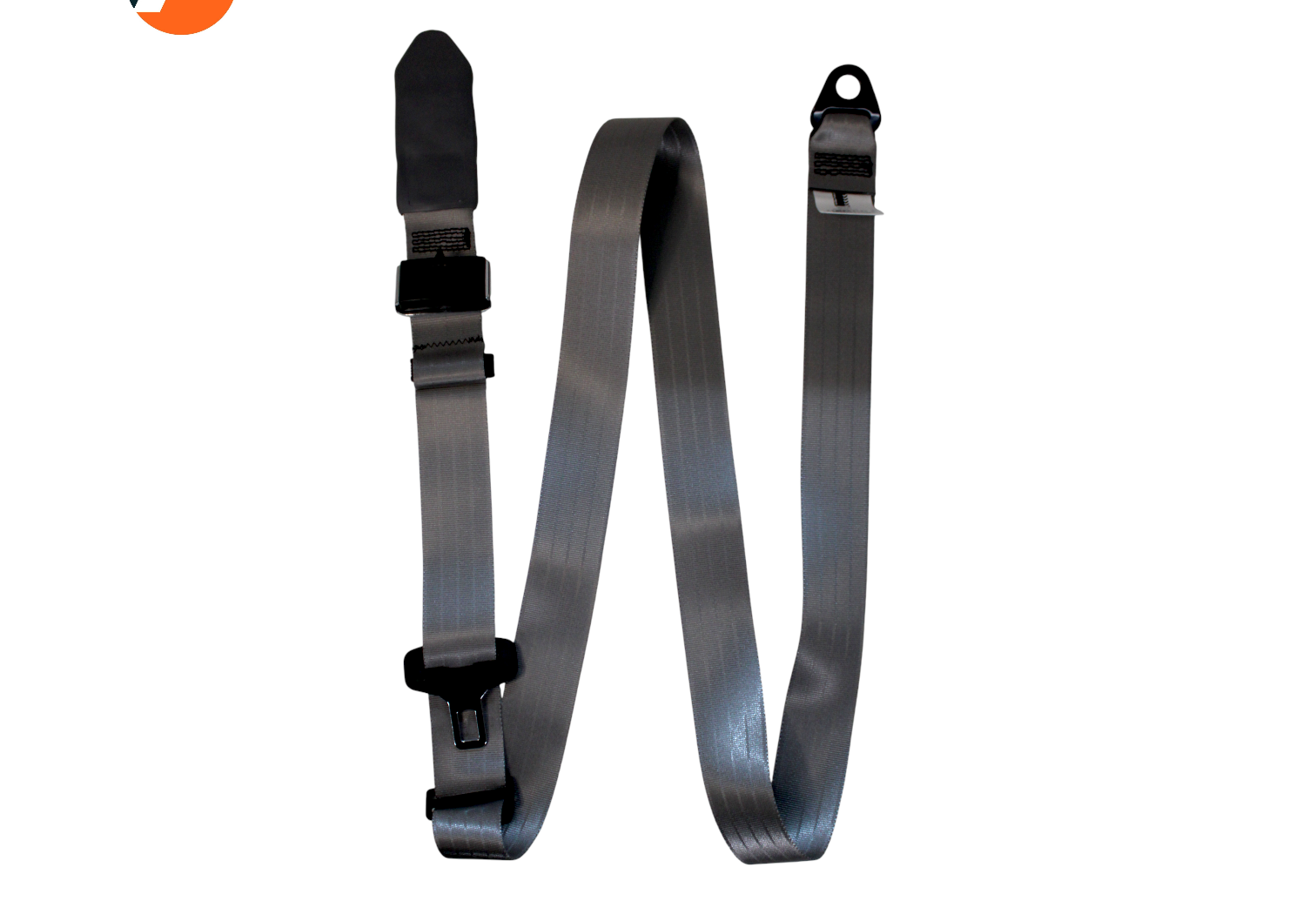 Transparent Photoroom (40)